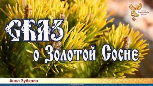 Сказ о золотой сосне