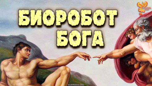 Человек &ndash; это биоробот Бога? Кто программирует человека?