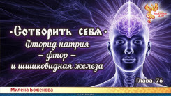 Сотворить себя. Глава семьдесят шестая