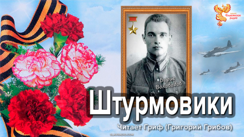  Штурмовики. Борис Воловодов
