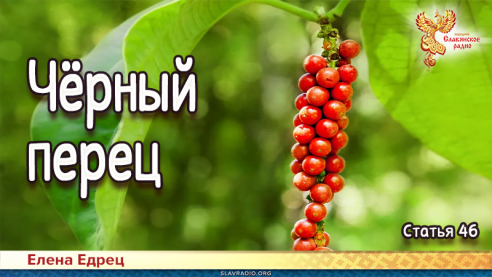Чёрный перец
