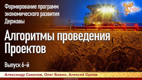 Формирование и проведение в жизнь программ экономического развития Державы. Выпуск 6. Алгоритмы проведения Проектов
