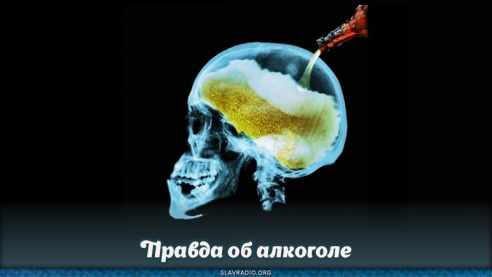 Правда об алкоголе