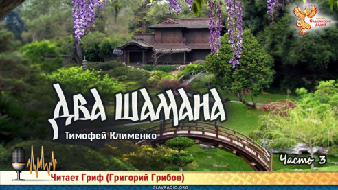 Два шамана. Часть 3 