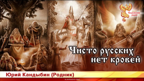 Чисто русских нет кровей 