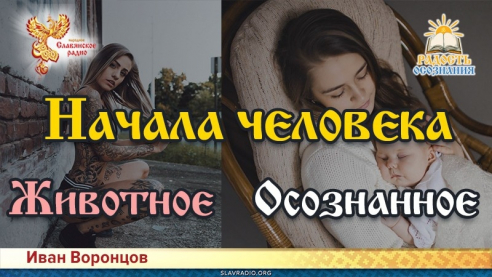 Животное и осознанное начала человека