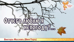 Отчего люблю я непогоду?...