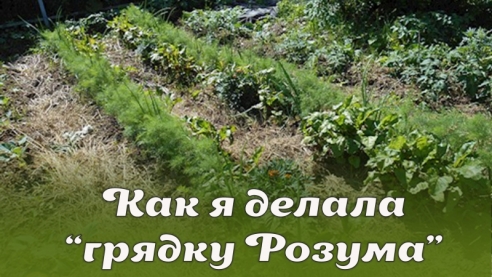 Как я делала грядку Розума! Отличие от теплых грядок и результаты в первый сезон.