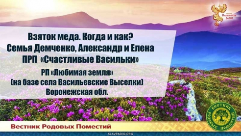 Взяток мёда. Когда и как