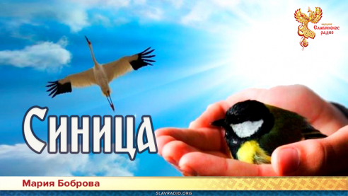 Синица