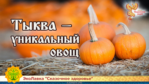 Тыква &mdash; уникальный овощ