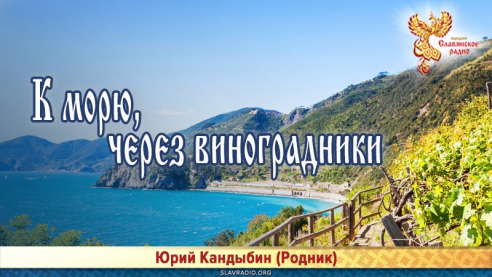 К морю, через виноградники 