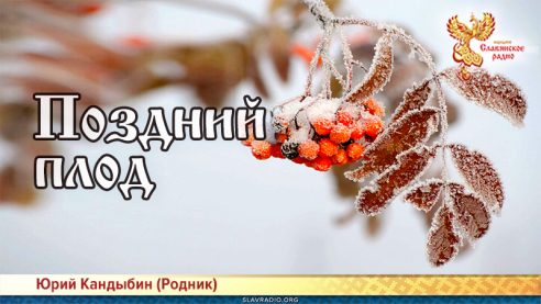 Поздний плод 