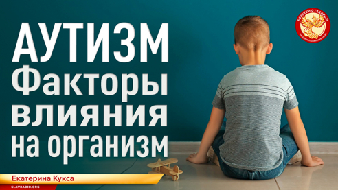 Аутизм. Факторы влияния на организм
