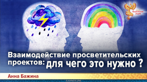 Взаимодействие просветительских проектов: для чего это нужно?