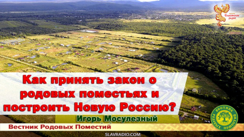 Как принять закон о родовых поместьях и построить Новую Россию?