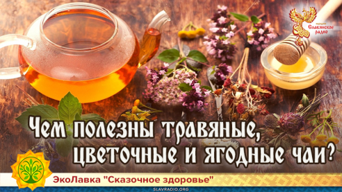 Чем полезны травяные, цветочные и ягодные чаи?