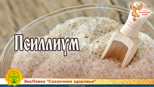 Псиллиум 