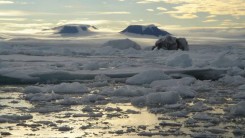 Россия прирастает Арктикой