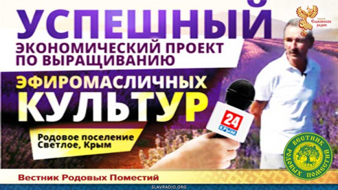 Успешный экономический проект по выращиванию эфиромасличных культур
