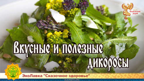 Вкусные и полезные дикоросы 