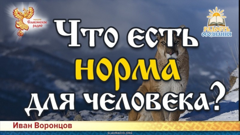 Что есть норма для человека?
