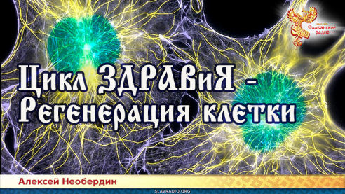 Цикл ЗДРАВиЯ &mdash; Регенерация клетки