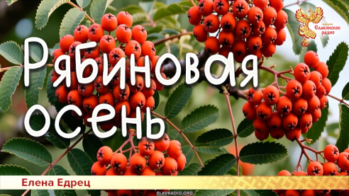Рябиновая осень