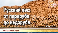 Русский лес: от переруба до недоруба. Часть 2