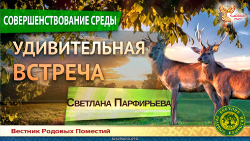 Удивительная встреча