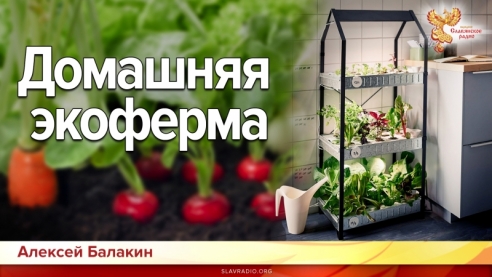 Домашняя экоферма