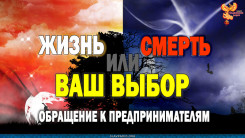 Жизнь или смерть? Какой ваш выбор? | Обращение к предпринимателям
