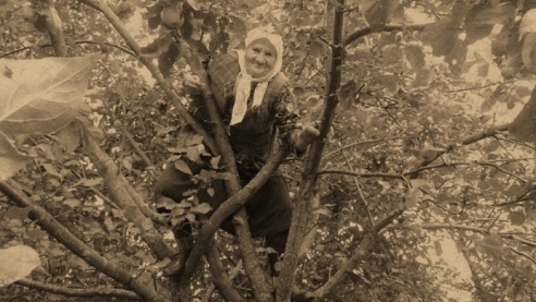 Она сажала деревья. Она была мудрой и доброй...