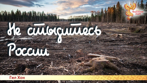 Не стыдитесь России