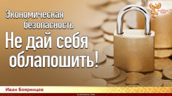  Экономическая безопасность. Не дай себя облапошить!
