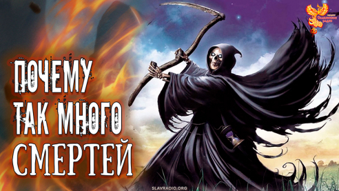 Почему так много смертей