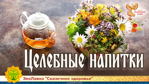 Целебные напитки 