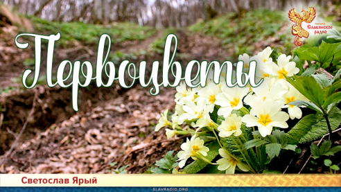 Первоцветы