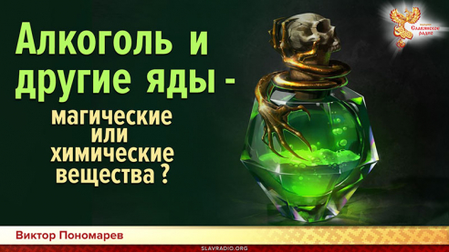 Алкоголь и другие яды - магические или химические вещества?