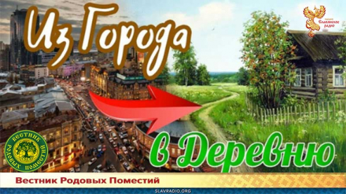 Из города в деревню