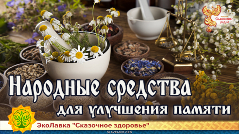 Народные средства для улучшения памяти