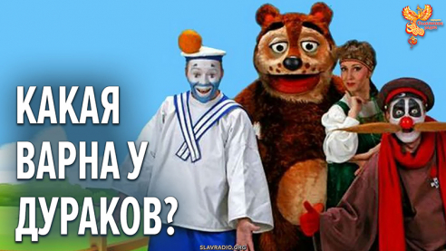 Какая ВАРНА у дураков?