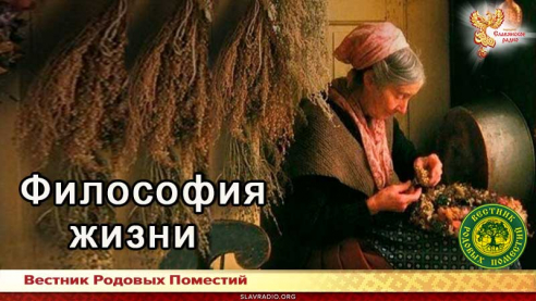 Философия жизни