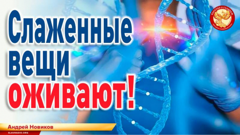 Слаженные вещи оживают! 