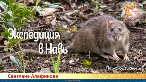 Ведическая школа Русколани. Экспедиция в Навь. Глава 21
