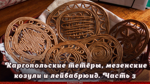 Солнечные тетёры из рода поморских козуль. Каргопольские тетёры, мезенские козули и лейвабрюид. Часть 3