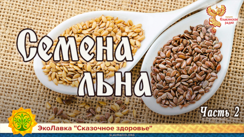 Семена льна. Часть 2