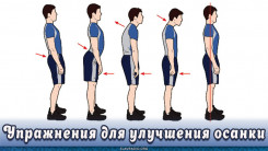 Упражнения для улучшения осанки