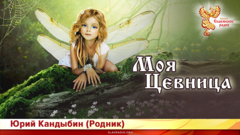 Моя Цевница 