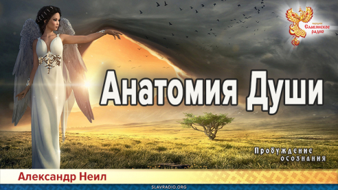 Анатомия Души